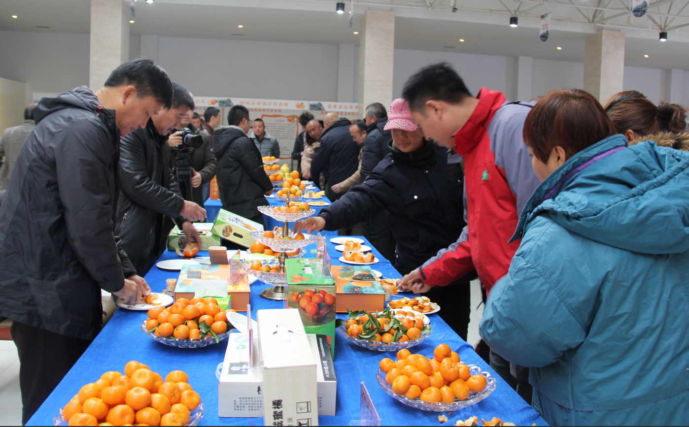 20181210/145b8e6d5cefda8e1c4cc67face9c80a.png 20181210/145b8e6d5cefda8e1c4cc67face9c80a.png